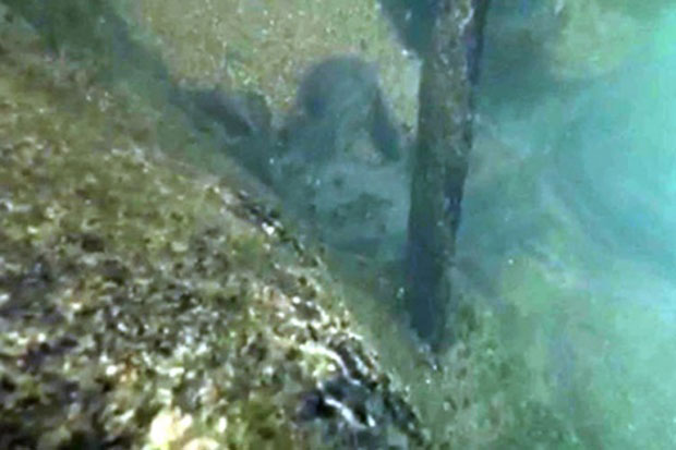 Ронилачки тимови ваде врбашки екскалибур (ФОТО)